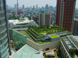 green roof_000000132606small